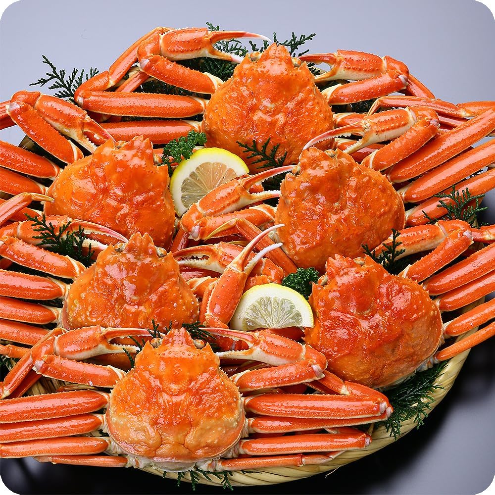 AMNESIA アムネシア 中国語 限定版 イッキ 5点 AMNESIA IKKI ver